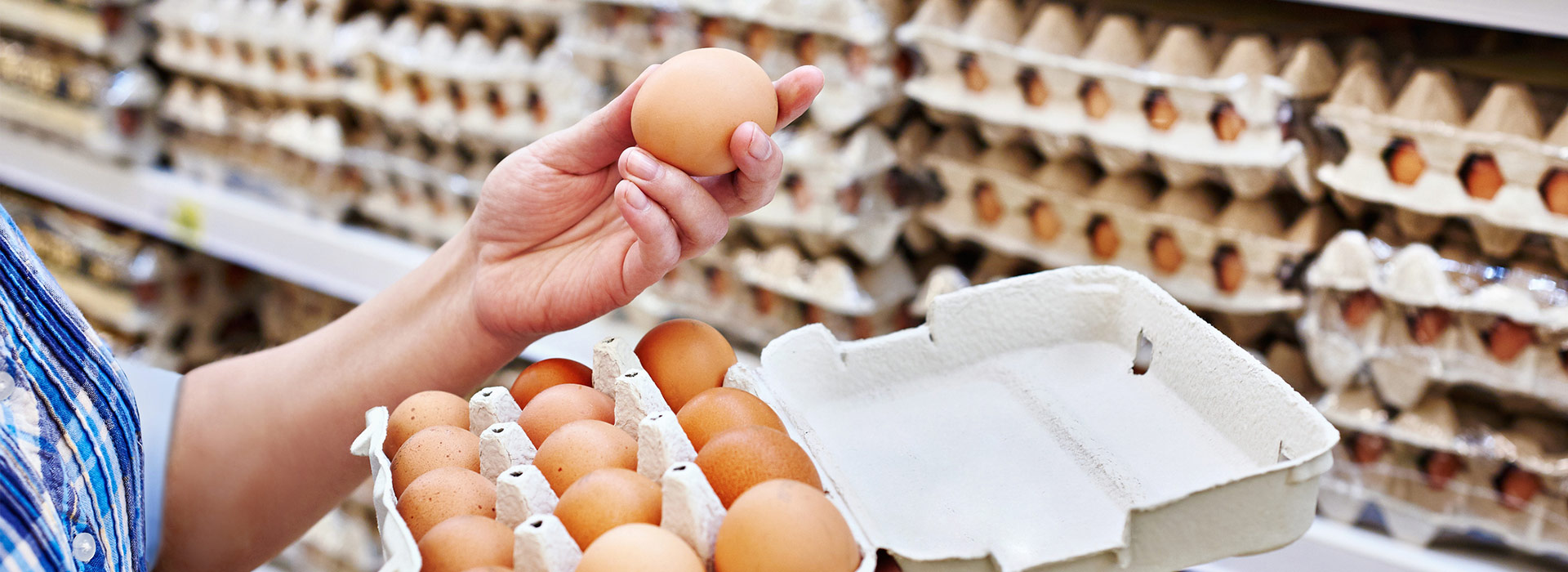 chicken eggs in basket